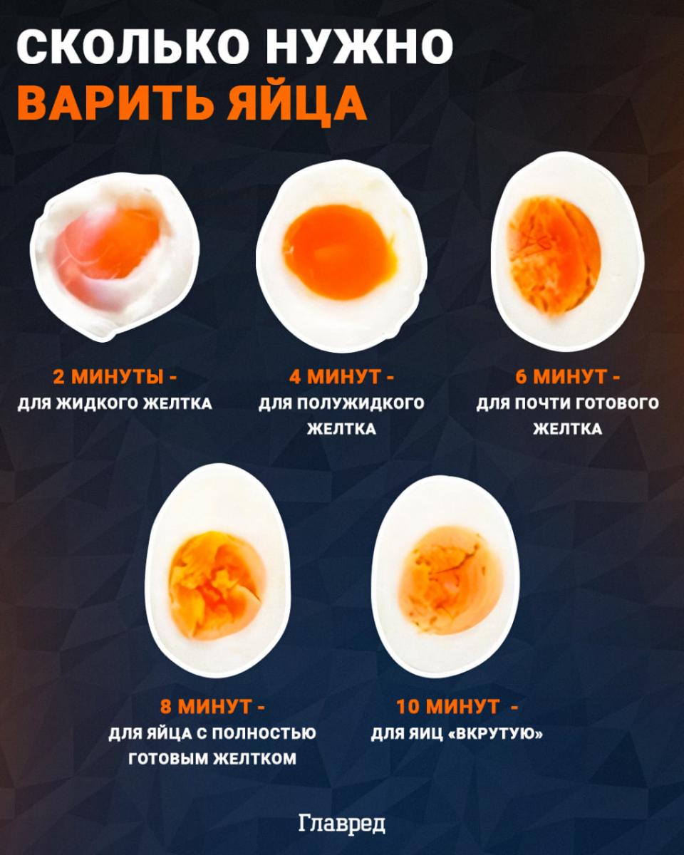 Vajcia, ako dlho variť vajcia, infografika Glavred